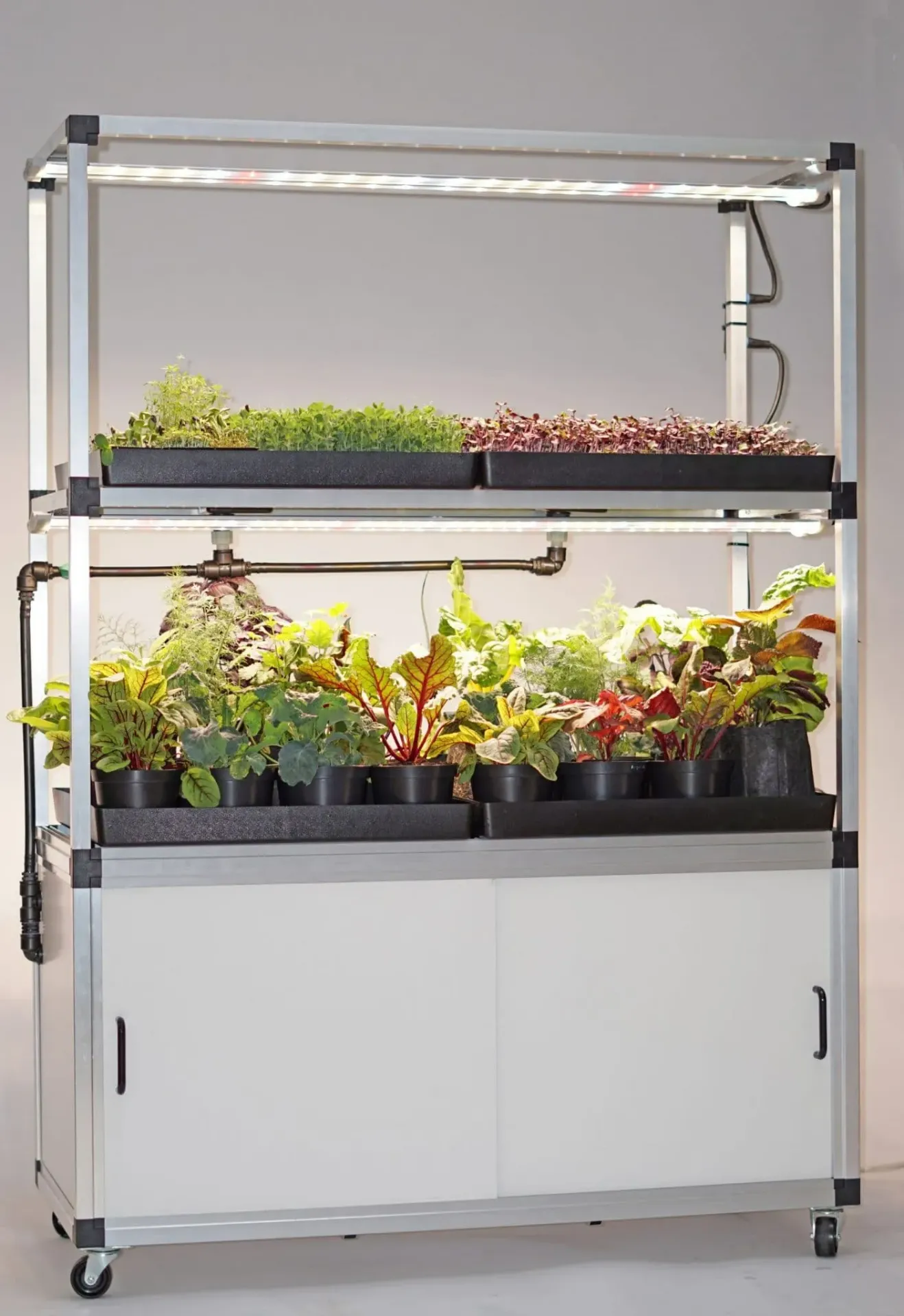 Smart Microgreen Kit 5.0